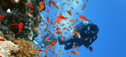 Operatori turistici e guide subacquee diversamente abili? A Catania oggi si può!